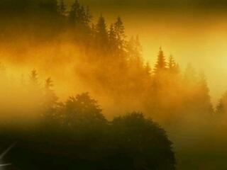 Egy követ fúj az aranybánya cég és a magyar zöld tárca?