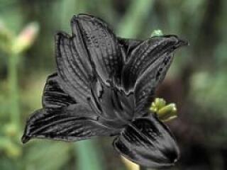 Tőlük búcsúztunk 2007-ben...