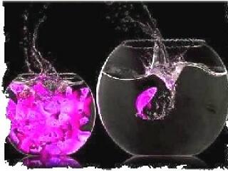 Nem kell plasztika, ha képes vagy a változásra!