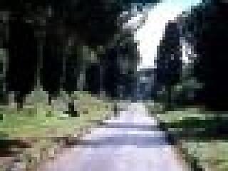 Baj van, nagy baj -a jövőnk szomorú