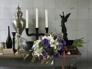 Harcom a rákkal és a sötétséggel  4. rész