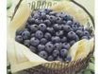 Milyen kedvező hatása van az áfonyának?