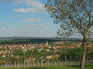 Program meg egy kis jó borozás - még ma! Irány Etyek!