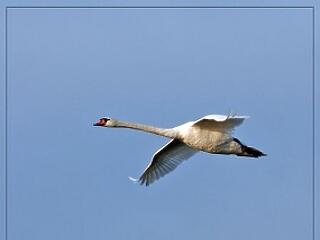 Az elmúlás fájdalma