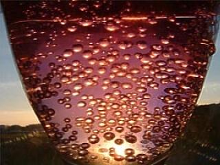 Komoly büntetés jár érte szomszédainknál! Vigyázzunk!