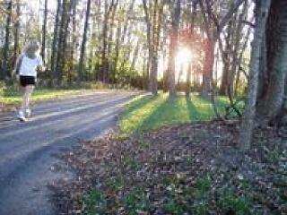 Rengeteg proteinre és gyümölcsre van szüksége!