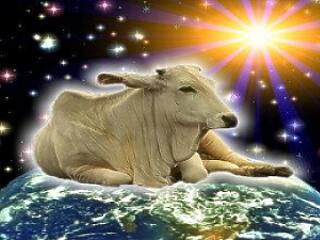 Keressük! Hová tűnt Fekete Laci 10 kiló marhája?