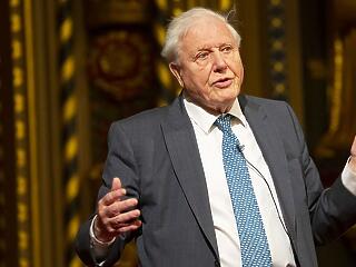 David Attenborough 95