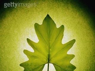 Mikrobiotika rendezvények, programok