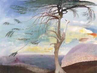 Tudta ezt? Mi nem hittük volna!