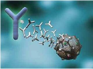 Egy ritka, gyógyíthatatlan önpusztító betegség