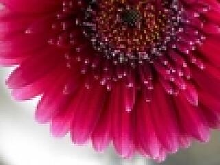 Újra Lázár Ervin Prózamondó Verseny