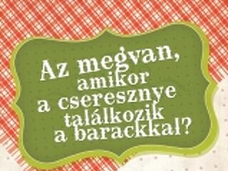 Köztéri Pálinka Piknik