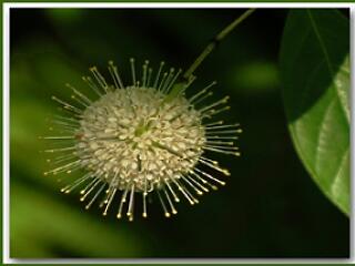 Sokkolta a nézőket a Fábry show!