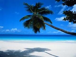 Horoszkóp júl.14-20-ig - a hűsítő csobbanás jegyében!