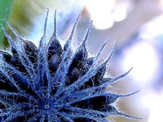 Aki nem elég bátor, az most nagyot bukhat!