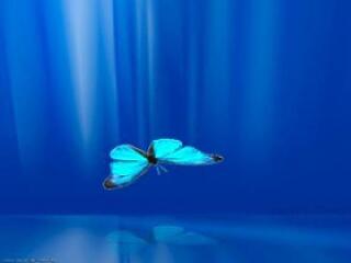 "Akkor most ki itt a lelki nyomorék...?"