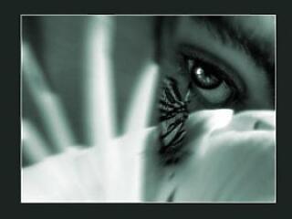 "Testközelben a rák" kiállítás nyílik a Lurdy házban!