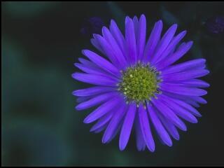 Számvetés szívügyeinkről