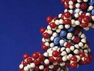 Kapd össze a hajad!