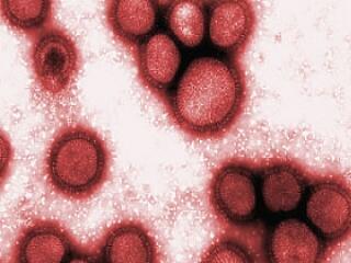 Emberek milliói kerülhetnek veszélybe...!