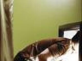 A média a szexuális szabadságot hirdeti! Jól van ez így?