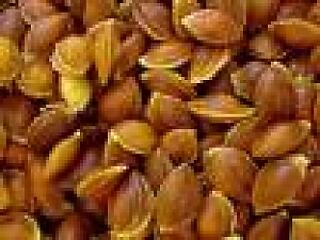 Tudta? A rák egyik ellenszere a B17 vitamin!