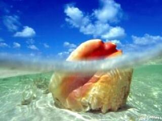 Horoszkóp jún.16-22-ig, a foci EB havában...