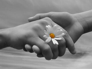 Egybefolyt a romák vére a magyarokéval!