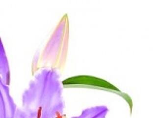 Szűréssel az életért