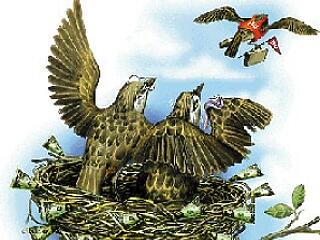 Amikor már üres marad a fészek...