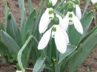 A célok jelölik ki az irányt!