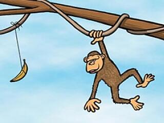 Ha feladod, hamarabb meghalsz!