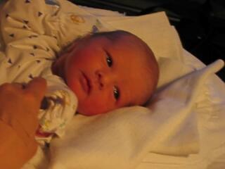 Megszületett Ádám!