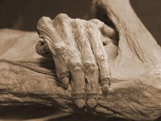 Összeölelkezve a sírban