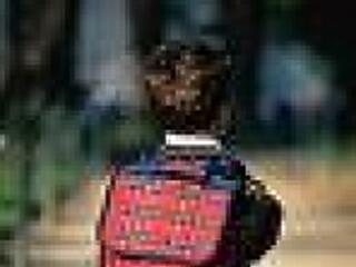 De nehéz az iskolatáska!