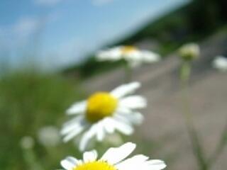 Női akadémia IV. -vasárnapi ajánló