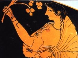 Gyógyító olajok hatása