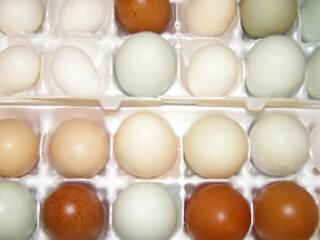 Így kell természetes színezőkkel festeni a tojásokat...