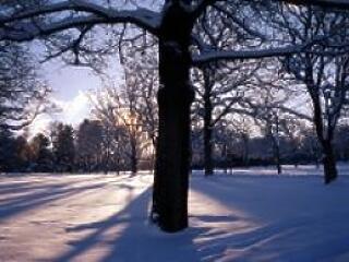 Hétszáz éve nem volt ilyen telünk...