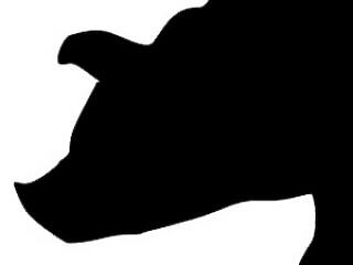 Nem komoly az újinfluenza?