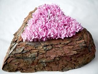 A Szív Világnapja- Republic zenekarral!