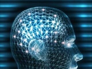 Szellemi kapacitásunk