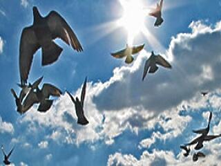 "Te vagy az oka, hogy bűnöző lett a fiad!"