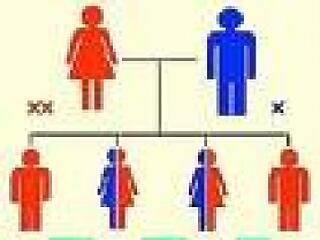 Halálos genetikai betegségek