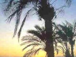 Aqaba, te csoda!
