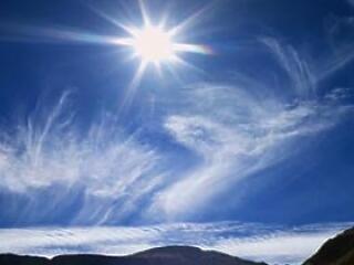 Furcsa csernobili mutánsok születtek...