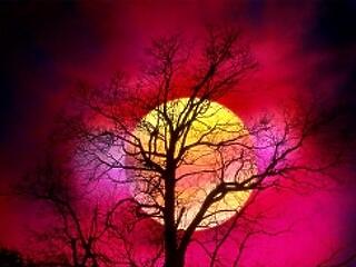 A természet bosszúja