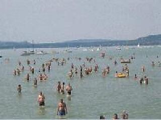 Negyedszázados a Balaton-átúszás!