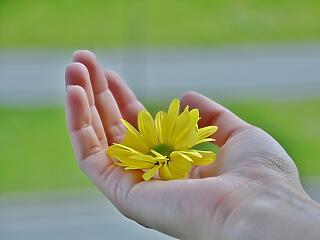 A villámok nem csak nőnapon csapkodnak